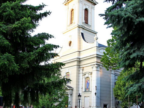 IMG_9943_resize_resize