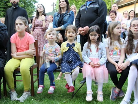 IMG_9948_resize_resize