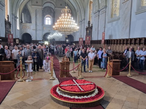 20230604_105955_resize