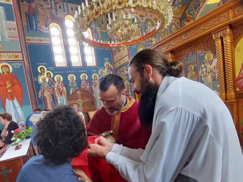 20230605_095658_resize_resize