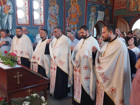 20230605_183639_resize_resize