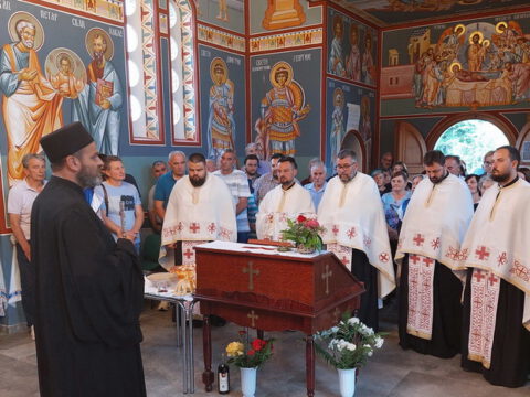 20230605_184918_resize_resize