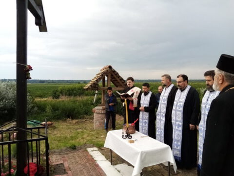 20230606_064232_resize