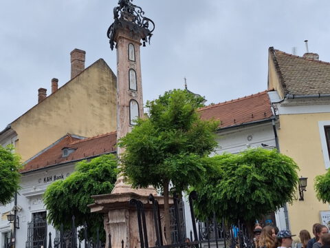 20230608_102912_resize