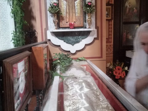 345621342_627826282581065_2244177029286940683_n_resize