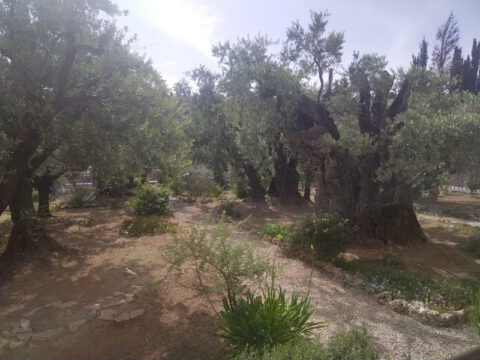 345930876_212926581638262_6129080031590794765_n_resize