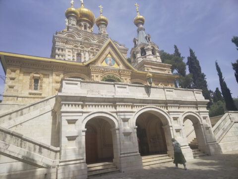 346993641_705153598286438_648424863401005503_n_resize