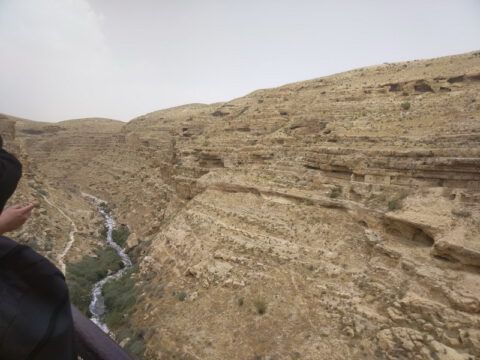 347009478_246313178023014_586448377411799412_n_resize