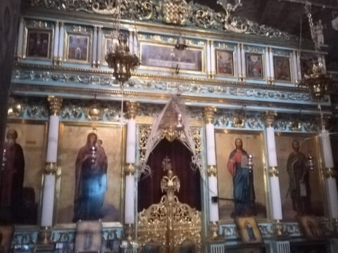 347130122_945136163406911_382976897309493603_n_resize