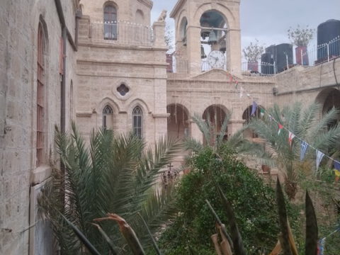 348330094_231726486324215_6584272084502160276_n_resize