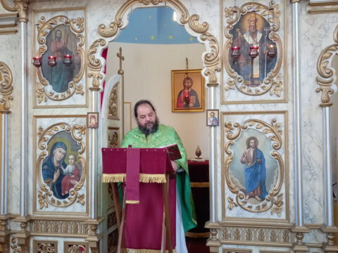 348361866_1245702419672239_614409035840147811_n_resize