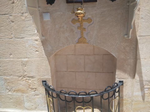 348620223_1336819396894489_8880393436628291261_n_resize