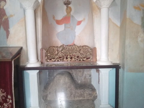 351510804_9741994059151451_6023730349634955002_n_resize