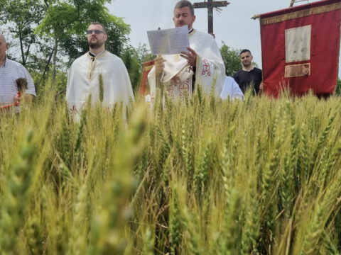 IMG-348d5b95c0e7253a777203b63c2a50e8-V_resize