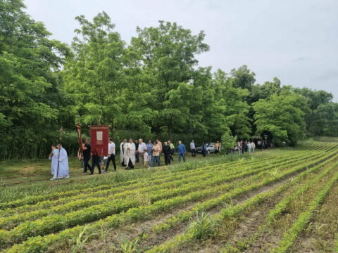 IMG-414212dcf3ebaabeb336d5340b3a5e6e-V_resize