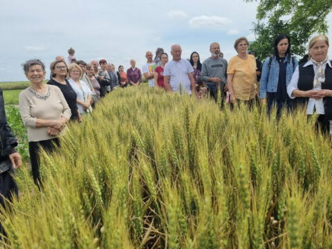 IMG-551d5b83ea1e231e9dd604e1707bb305-V_resize