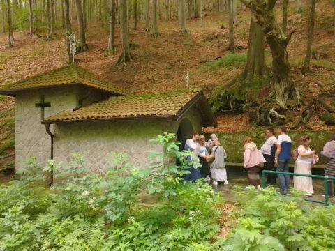 IMG-5cc4e7d9231fef2e49c42720557af3cf-V_resize