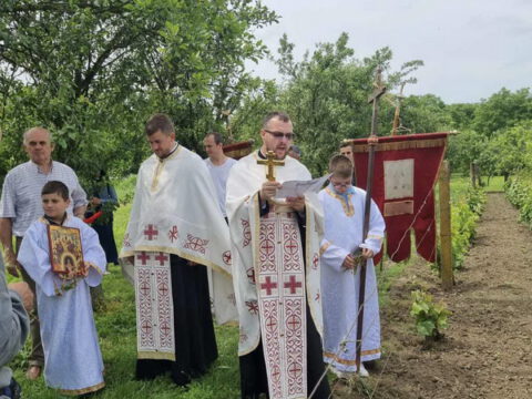 IMG-7fe6c9e6f3475f66ecae84747fe402e7-V_resize