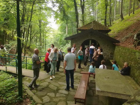 IMG-a8f07eae768e8b1da8318648dc61e5c9-V_resize