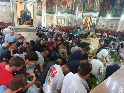 IMG-ca43b2f223f5699d6a9073a8d0538220-V_resize