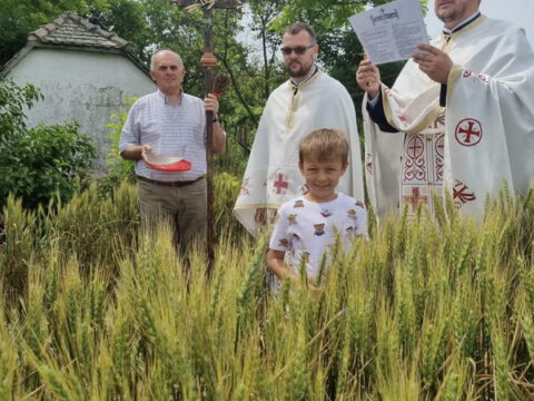 IMG-e52f32498488247706ebef7e758110e1-V_resize