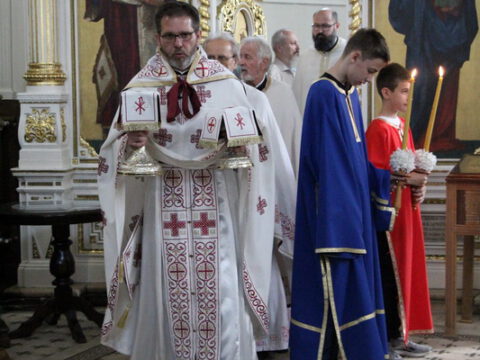 IMG_0234_resize_resize