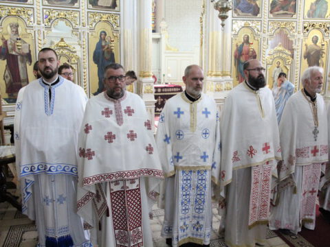 IMG_0237_resize_resize