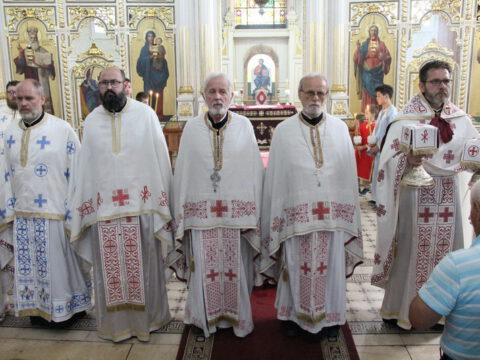 IMG_0238_resize_resize