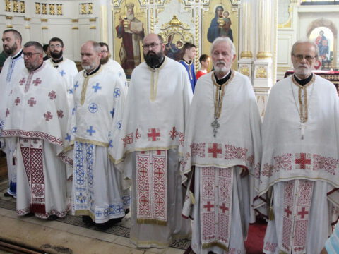 IMG_0240_resize_resize