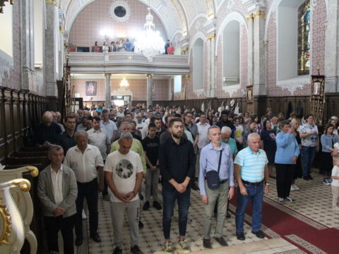 IMG_0242_resize_resize