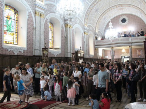 IMG_0249_resize_resize