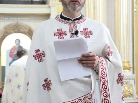 IMG_0260_resize_resize