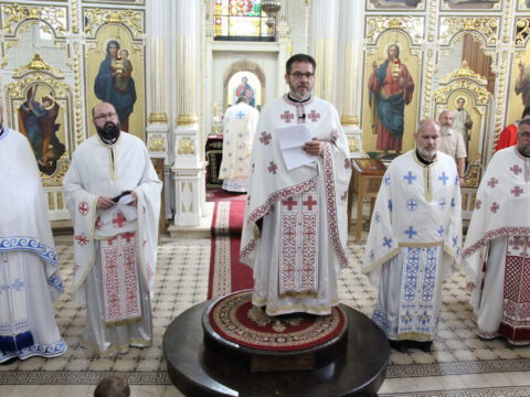 IMG_0264_resize_resize