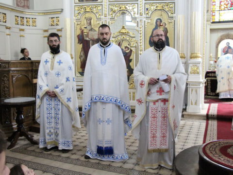 IMG_0267_resize_resize