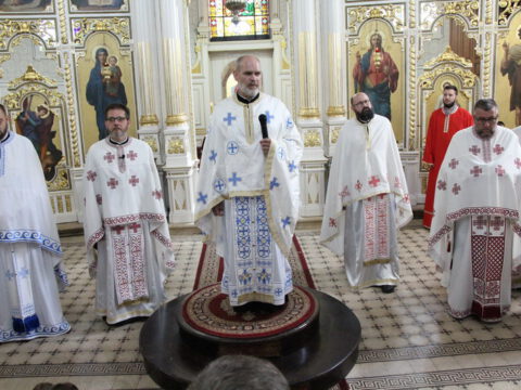 IMG_0291_resize_resize