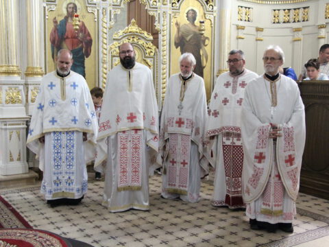 IMG_0302_resize_resize