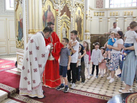 IMG_0306_resize_resize