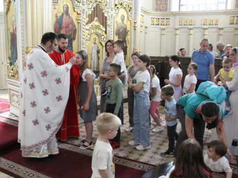 IMG_0311_resize_resize