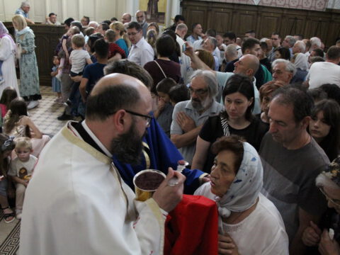 IMG_0313_resize_resize