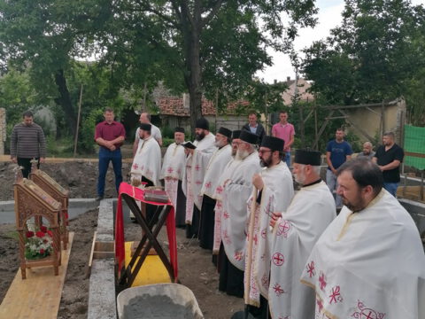 IMG_20230606_173235_resize