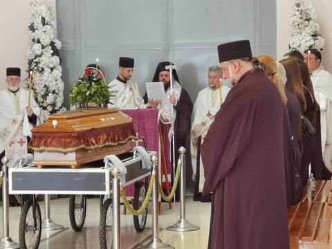 IMG_20230607_120658_resize