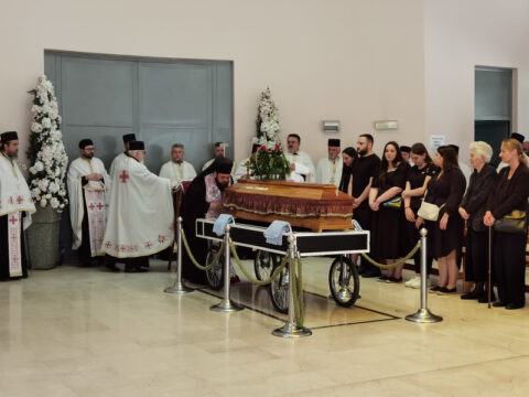 IMG_20230607_121942_resize