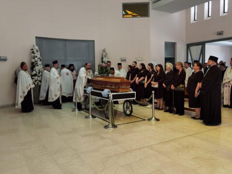 IMG_20230607_122009_resize