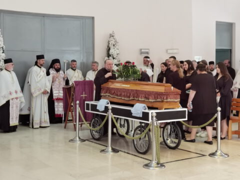 IMG_20230607_122235_resize