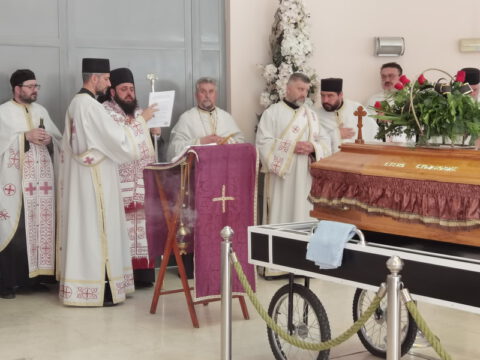 IMG_20230607_122742_resize