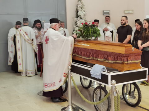 IMG_20230607_122932_resize