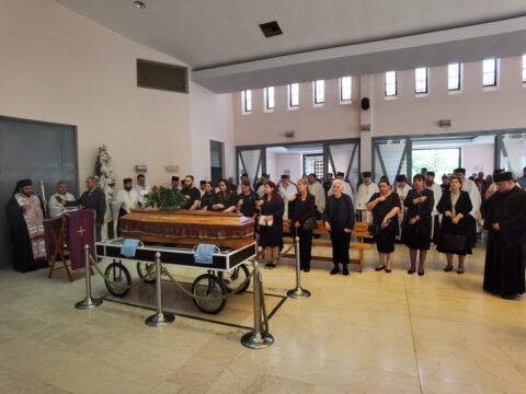 IMG_20230607_123102_resize