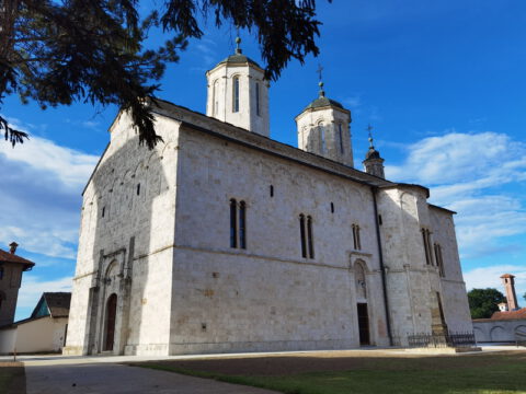 IMG_20230610_174821_resize