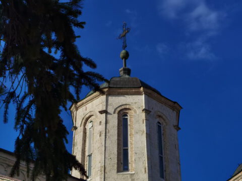 IMG_20230610_174847_resize