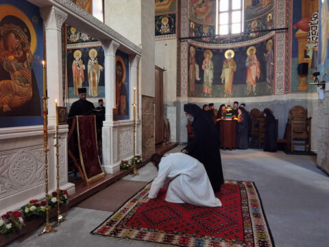 IMG_20230610_185713_resize